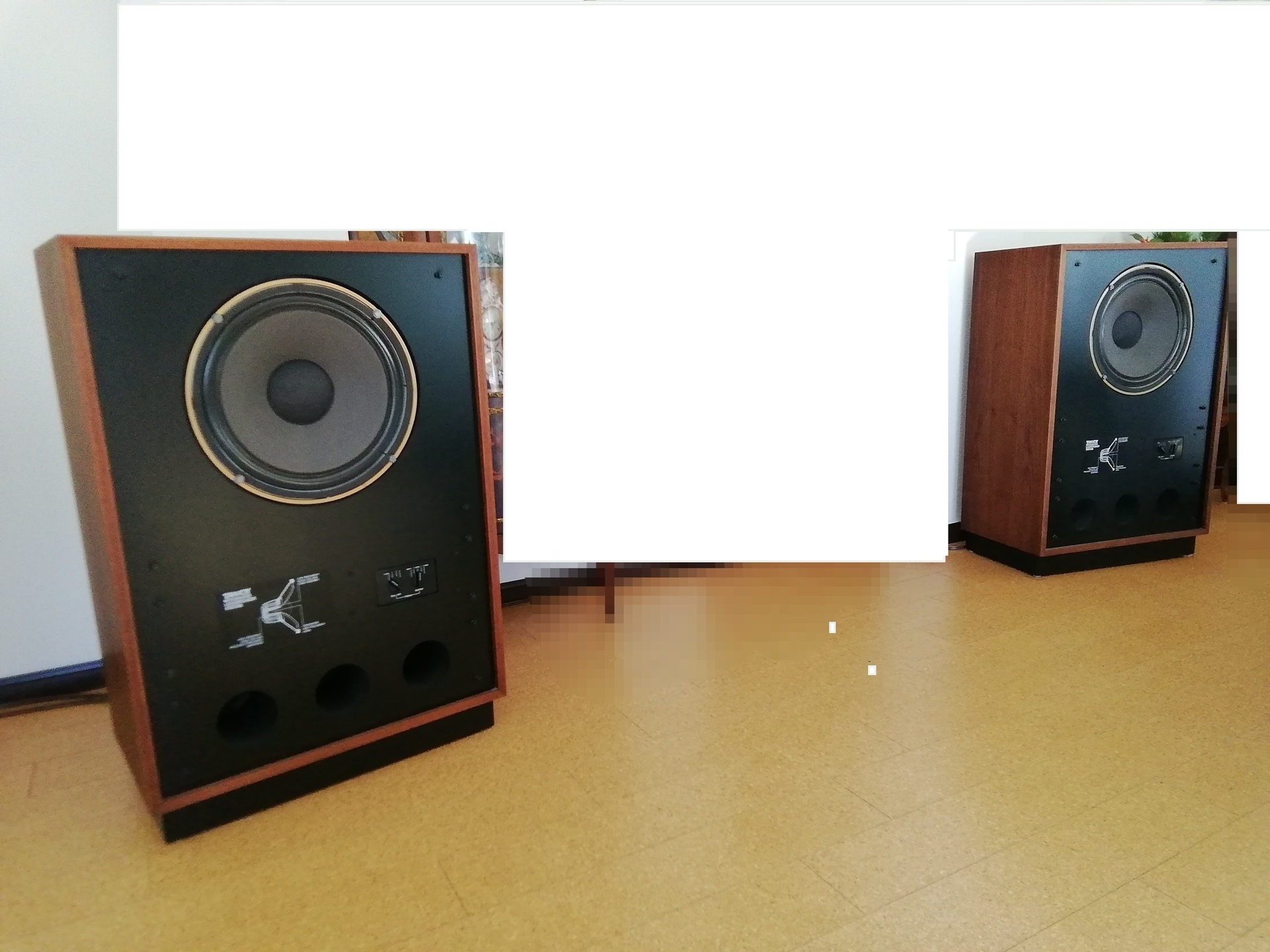 TANNOY「ARDEN」（初代の中古品）を導入しました！: シェルティのパパのブログ